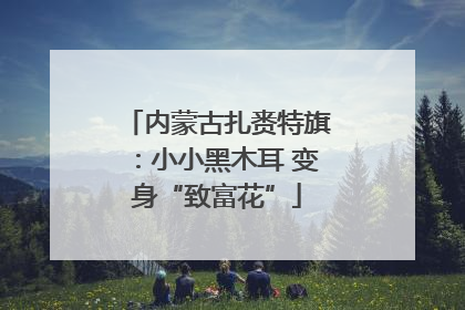 内蒙古扎赉特旗：小小黑木耳 变身“致富花”