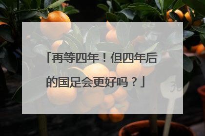 再等四年！但四年后的国足会更好吗？