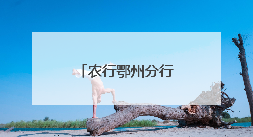 农行鄂州分行：打出金融“组合拳”，助燃消费“烟火气”