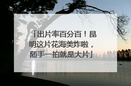 出片率百分百！昆明这片花海美炸啦，随手一拍就是大片
