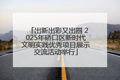 出新出彩又出圈 2025年硚口区新时代文明实践优秀项目展示交流活动举行