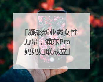 凝聚新业态女性力量，浦东Pro妈妈妇联成立