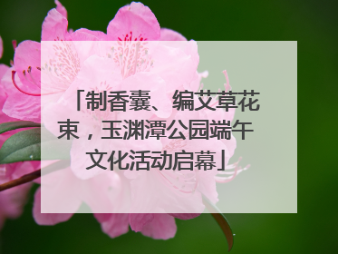 制香囊、编艾草花束，玉渊潭公园端午文化活动启幕