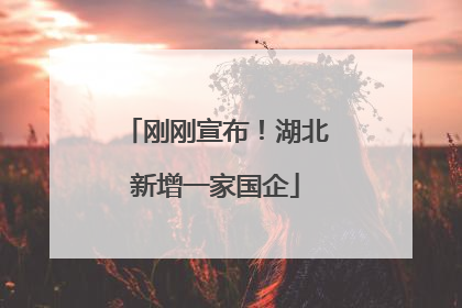 刚刚宣布！湖北新增一家国企