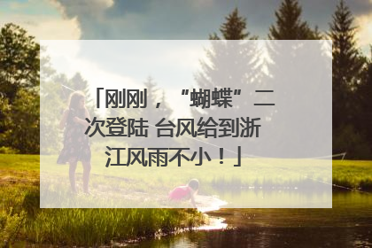 刚刚，“蝴蝶”二次登陆 台风给到浙江风雨不小！