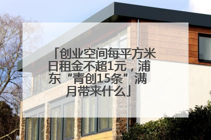 创业空间每平方米日租金不超1元，浦东“青创15条”满月带来什么