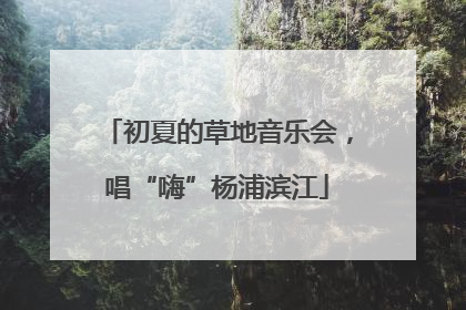初夏的草地音乐会，唱“嗨”杨浦滨江