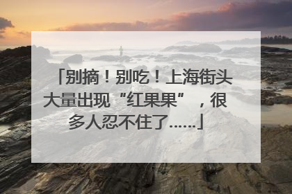 别摘！别吃！上海街头大量出现“红果果”，很多人忍不住了……