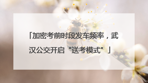 加密考前时段发车频率，武汉公交开启“送考模式”