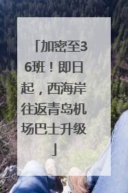 加密至36班！即日起，西海岸往返青岛机场巴士升级