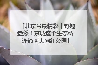 北京号最精彩｜野趣盎然！京城这个生态桥连通两大网红公园
