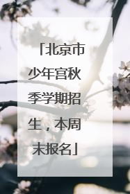 北京市少年宫秋季学期招生，本周末报名