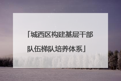 城西区构建基层干部队伍梯队培养体系