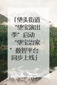 垡头街道“垡宝演出季”启动 “垡宝治家”数智平台同步上线