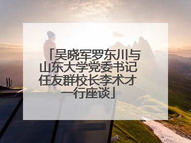 吴晓军罗东川与山东大学党委书记任友群校长李术才一行座谈