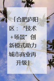 合肥庐阳区：“技术+场景”创新模式助力城市商业再升级