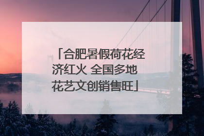 合肥暑假荷花经济红火 全国多地花艺文创销售旺