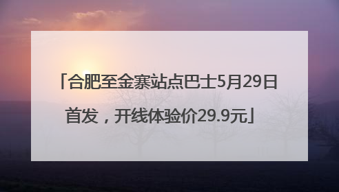 合肥至金寨站点巴士5月29日首发，开线体验价29.9元