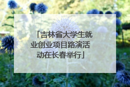 吉林省大学生就业创业项目路演活动在长春举行