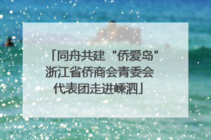 同舟共建“侨爱岛” 浙江省侨商会青委会代表团走进嵊泗