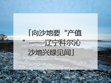 向沙地要“产值”——辽宁科尔沁沙地兴绿见闻