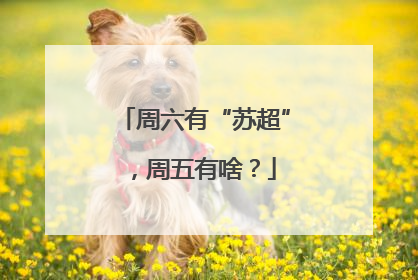 周六有“苏超”，周五有啥？