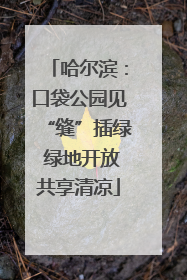 哈尔滨：口袋公园见“缝”插绿 绿地开放共享清凉