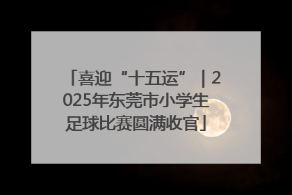 喜迎“十五运”｜2025年东莞市小学生足球比赛圆满收官