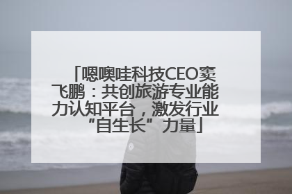 嗯噢哇科技CEO窦飞鹏：共创旅游专业能力认知平台，激发行业“自生长”力量