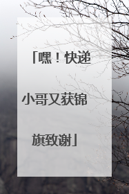 嘿！快递小哥又获锦旗致谢
