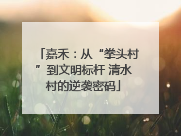 嘉禾：从“拳头村”到文明标杆 清水村的逆袭密码