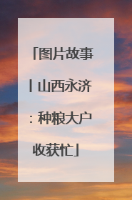 图片故事丨山西永济：种粮大户收获忙
