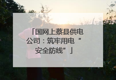 国网上蔡县供电公司：筑牢用电“安全防线”