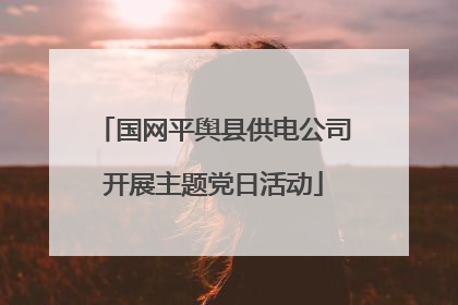 国网平舆县供电公司开展主题党日活动