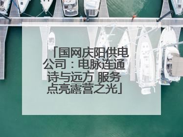 国网庆阳供电公司：电脉连通诗与远方 服务点亮露营之光