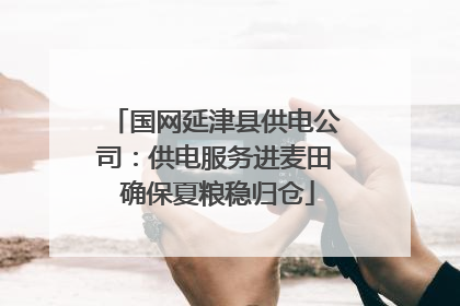国网延津县供电公司：供电服务进麦田 确保夏粮稳归仓