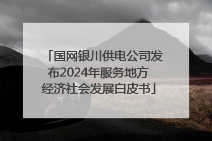 国网银川供电公司发布2024年服务地方经济社会发展白皮书