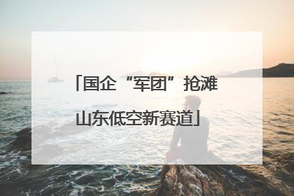 国企“军团”抢滩山东低空新赛道