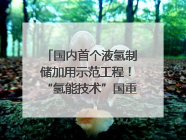 国内首个液氢制储加用示范工程！“氢能技术”国重专项在四川南充启动｜打赢经济发展翻身仗