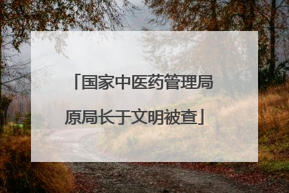 国家中医药管理局原局长于文明被查