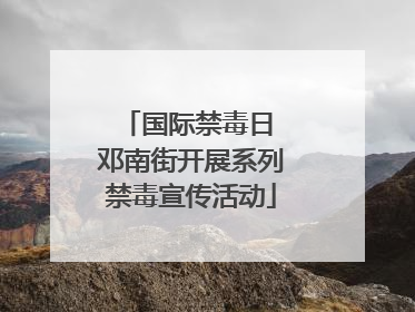 国际禁毒日 邓南街开展系列禁毒宣传活动
