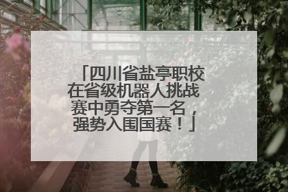 四川省盐亭职校在省级机器人挑战赛中勇夺第一名，强势入围国赛！
