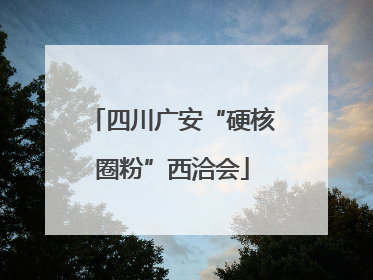 四川广安“硬核圈粉”西洽会