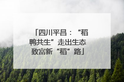 四川平昌：“稻鸭共生”走出生态致富新“稻”路