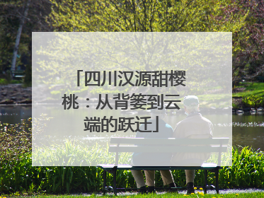 四川汉源甜樱桃：从背篓到云端的跃迁