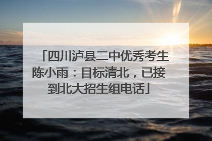 四川泸县二中优秀考生陈小雨：目标清北，已接到北大招生组电话