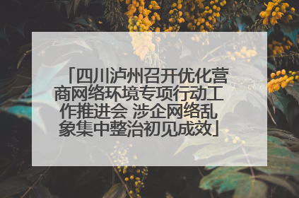 四川泸州召开优化营商网络环境专项行动工作推进会 涉企网络乱象集中整治初见成效