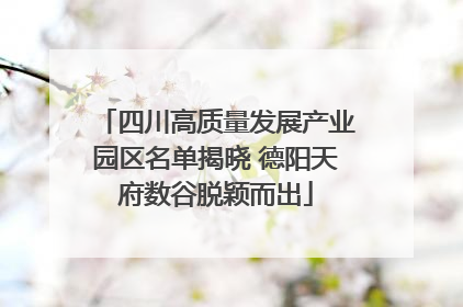 四川高质量发展产业园区名单揭晓 德阳天府数谷脱颖而出