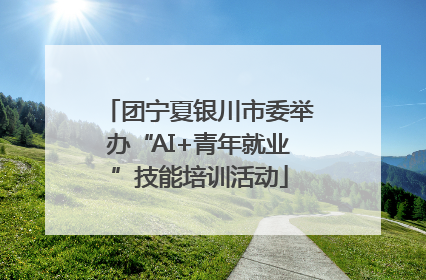 团宁夏银川市委举办“AI+青年就业”技能培训活动