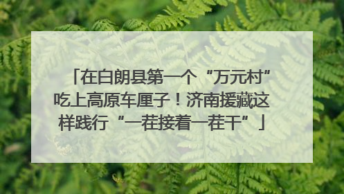 在白朗县第一个“万元村”吃上高原车厘子！济南援藏这样践行“一茬接着一茬干”